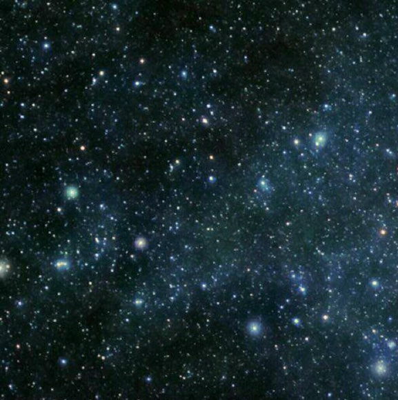 Meet your Posher, Jasmine - Picture 1 of 1